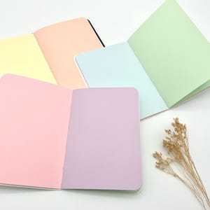 Könnte beinhalten: Draufsicht auf mehrere offene Notizbücher mit pastellfarbenen Seiten: Gelb, Pfirsich, Blau, Grün, Rosa und Lila. Die Notizbücher haben abgerundete Ecken und schwarze Rücken. Ein Zweig getrockneter Blumen befindet sich in der unteren rechten Ecke.