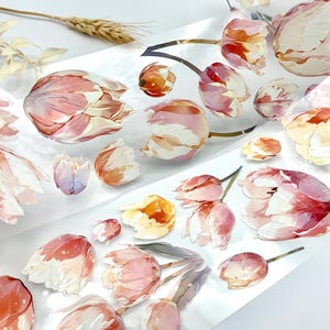 Washi Tape Samples / transparentes Klebeband / PET Tape auf Trägerfolie - Rosa Blumen / Tulpen / Holografische Effekte