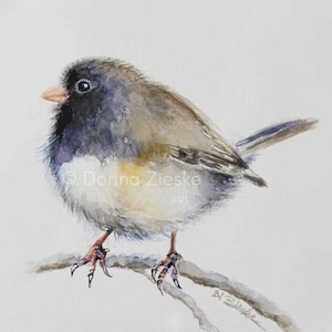 Dark-eyed Junco Watercolor Bird Print, Small Bird Art, Great Birthday Gifts, Wildlife Bird Gifts, Bird Lover art, Print by Dorina Zieske