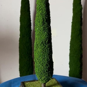 Miniature cypress (artificial bonsai) with base and worked frame. For modeling, nativity scenes/dioramas or architectural scenography.