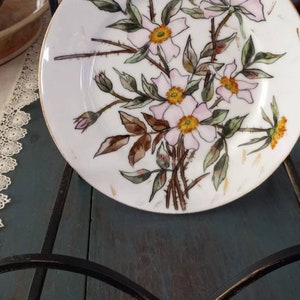 May include: A white porcelain plate with a hand-painted design of pink roses and green leaves. The plate is on a black metal stand.