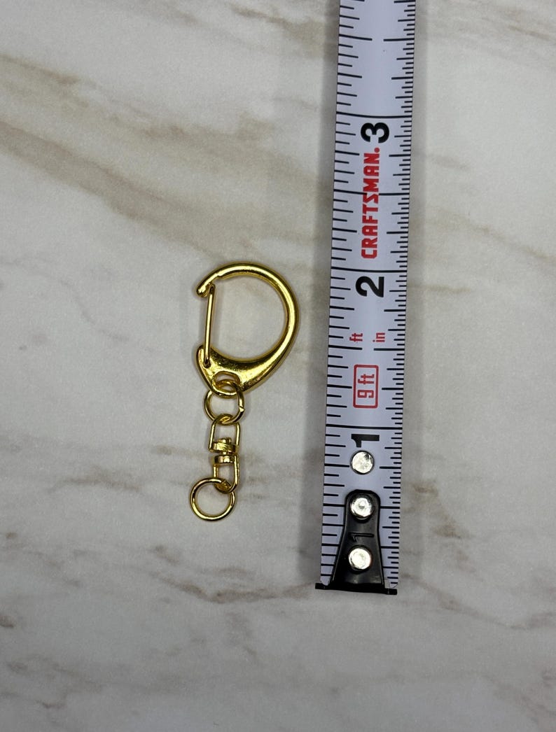 Shrimp- Sea Creature- Unique Keychain Kawaii- Jumbo Shrimp image 3