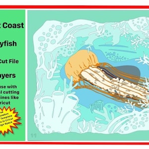 WestCoast Jellyfish 3-d Shadowbox SVG