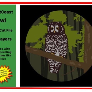 WestCoast Owl 3-d Shadowbox SVG