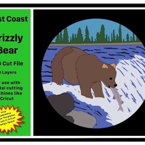 West Coast Grizzly Bear