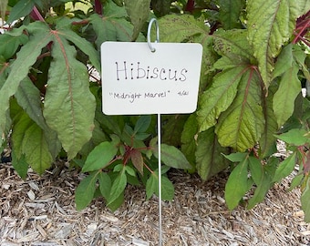 20" Tall Decorative Garden Label with Extra Large Nameplate (10 per set) & Marking Pencil