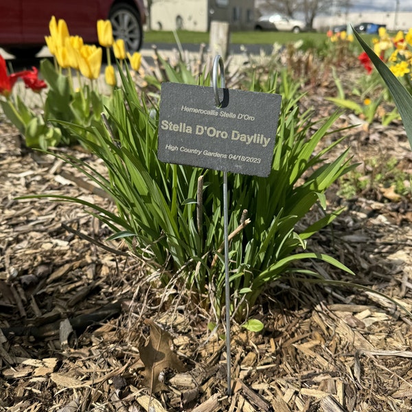 Custom Garden/Memorial Marker, Slate Garden Label, Custom Slate Marker, Pet Memorial Marker, Custom Garden Marker