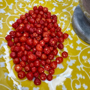 Puede incluir: Un montón de pequeños pimientos rojos redondos sobre un plato amarillo con un patrón floral blanco. Los pimientos están agrupados y algunos tienen tallos visibles. Un mortero de piedra gris es parcialmente visible en el fondo.