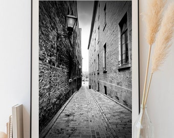 Charming Alley Old Montreal Black and White Photograph Print