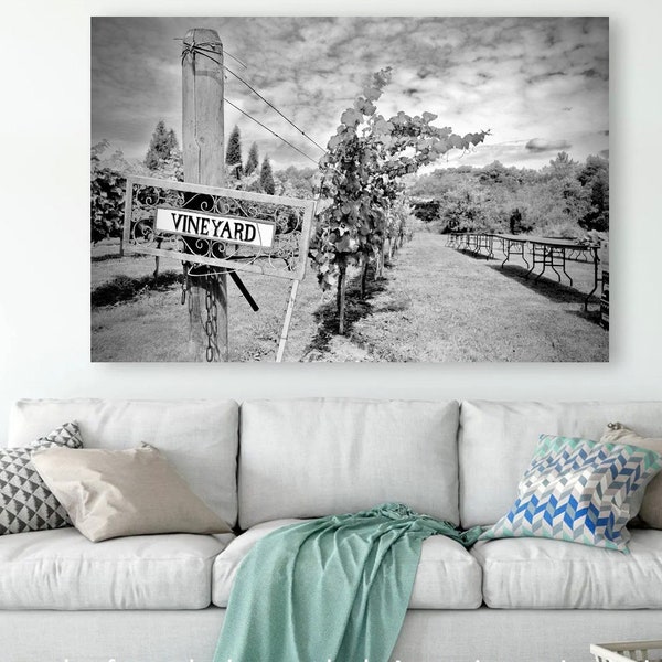 Vineyard Black and White Photograph Digital Download Print at Home