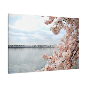Tidal Basin Cherry Blossoms Washington DC Stretched Matte Canvas Photograph Print Ready to Hang
