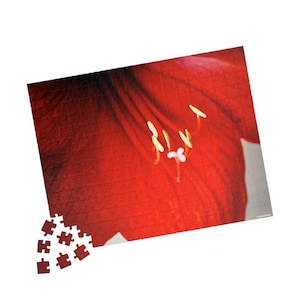 Red Amaryllis Flower Color Puzzle (110, 252, 500, 1014-piece)