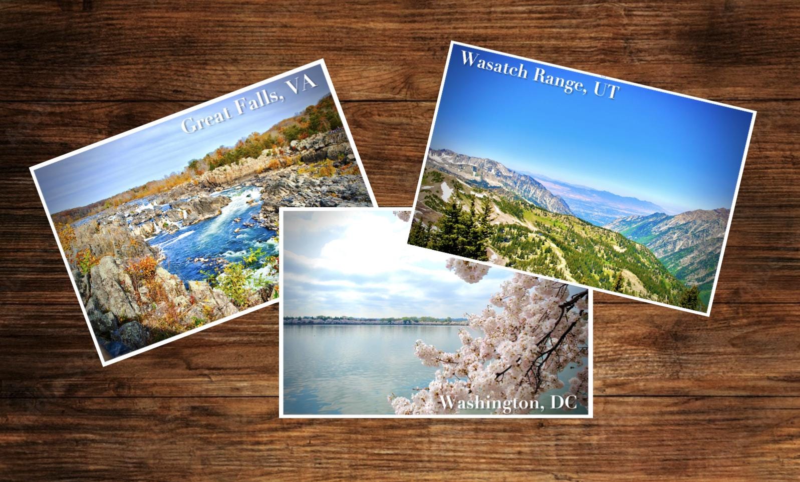 12 United States "Views and Vistas" Photography Postcards Sold as Set or Mix and Match. Great for Letters Wedding Announcements & More!