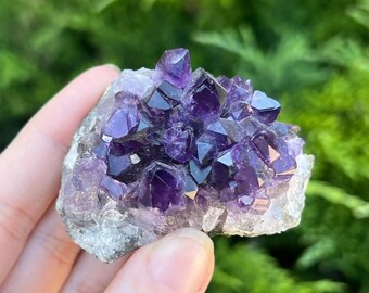 Amethyst Cluster - Ethically sourced from Uruguay