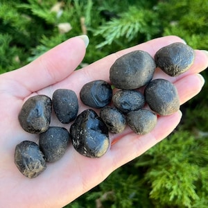 May include: A collection of smooth, dark gray stones of varying sizes. The stones are held in a hand, with a green, leafy background. The stones have a polished appearance, suggesting they may be tumbled or naturally smoothed.