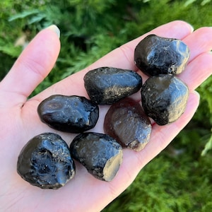 May include: A handful of polished, dark black stones with a smooth, glossy surface. The stones vary in size and shape, with some appearing more rounded and others more angular. The background is a blurred green, suggesting foliage.