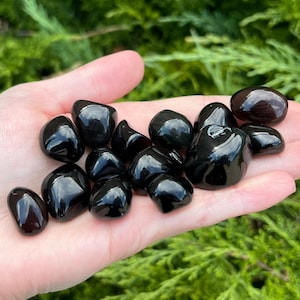 Apache Tear Tumbled Stone - Ethically sourced from Arizona, USA - AAA Grade 0.5&quot; - 1.25&quot; in.