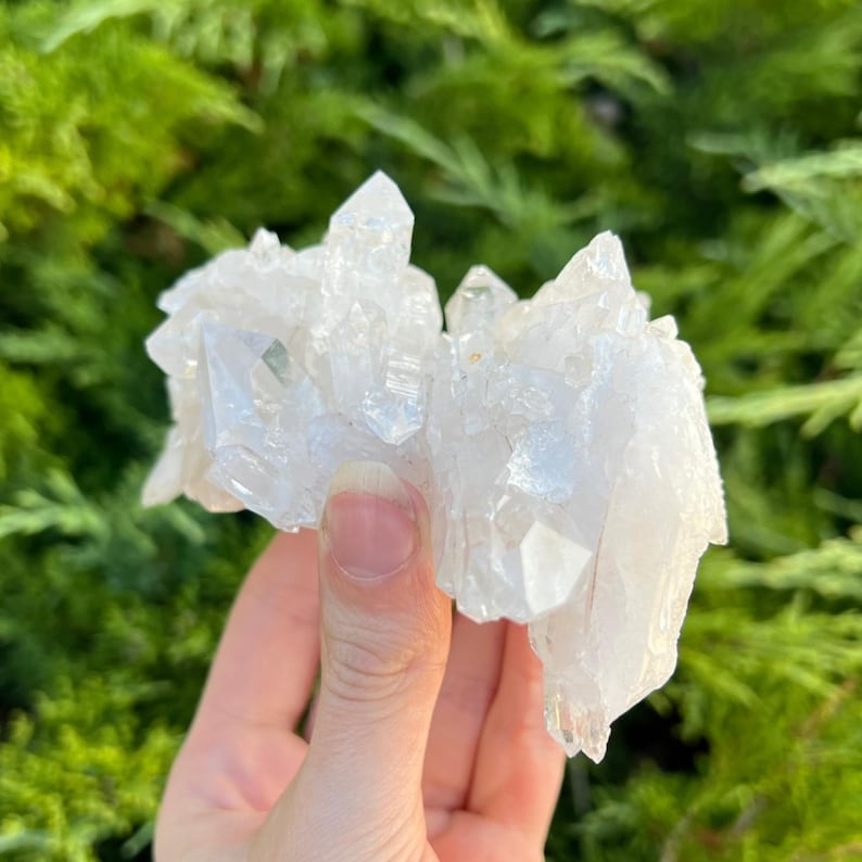 May include: A cluster of clear quartz crystals, held in a hand, with multiple pointed terminations. The crystals are translucent and reflect light, with a natural, rough texture. The background is blurred green foliage.