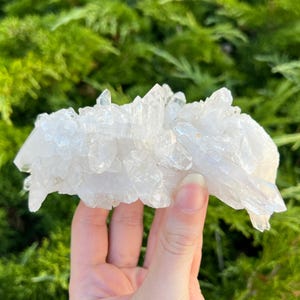 May include: A cluster of clear quartz crystals, showcasing a multitude of pointed formations. The crystals are a translucent white, with a natural, rough texture. The background is a blurred green, suggesting foliage.