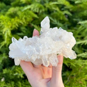 May include: A cluster of clear quartz crystals, showcasing a variety of pointed formations. The crystals are held against a backdrop of green foliage, highlighting their natural, translucent appearance. The quartz cluster is a natural mineral specimen.