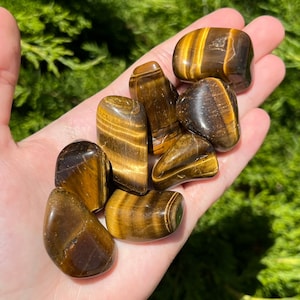 Tigers Eye Tumbled Stone - Ethically sourced from South Africa - A Grade 1&quot; - 2&quot; in.