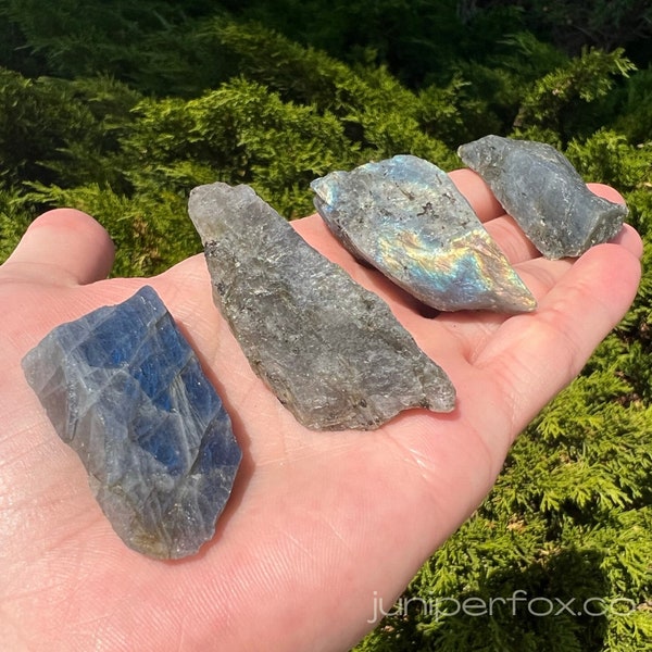 Labradorite Raw Stone - Ethically sourced from Madagascar - AAA Grade 1" - 2" in.