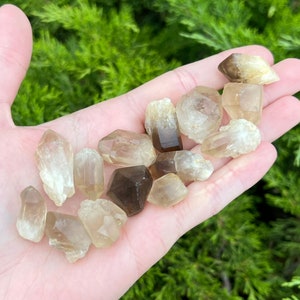 Smoky Quartz Raw Point - Ethically sourced from Zimbabwe - AA Grade 0.5&quot; - 1&quot; in.