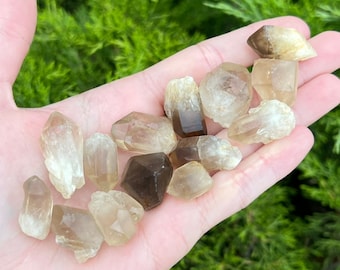 Smoky Quartz Crystal - Ethically sourced from Zimbabwe - 0.5" - 1" Inch Raw Points