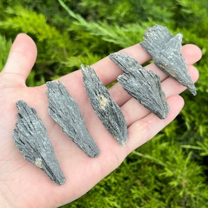 May include: Five black, raw, and unpolished black tourmaline crystals. The crystals are in the shape of a fan or a feather. They are all different sizes and shapes.