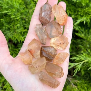 Raw Citrine Crystals - Ethically sourced from Brazil - AA Grade 0.5 - 1.5 in.