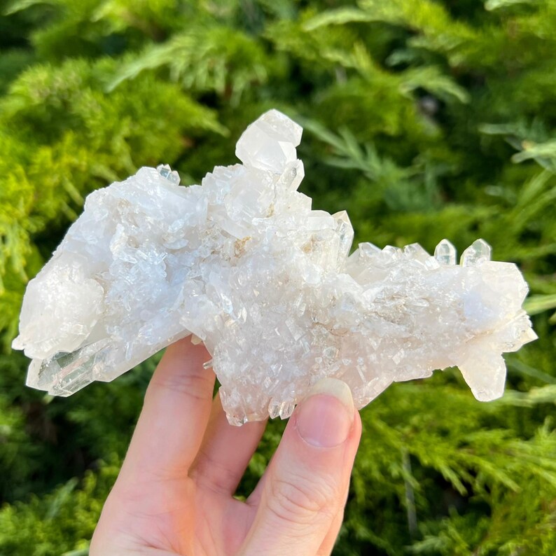 May include: A cluster of clear quartz crystals, held in a hand, against a backdrop of green foliage. The quartz formation features multiple points and a rough, textured surface, showcasing natural geological beauty.