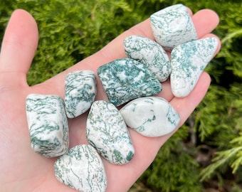 May include: A collection of eight moss agate tumbled stones. The stones are a mix of white and green with intricate patterns.