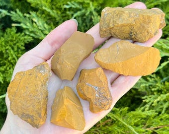 Yellow Jasper, Orange Jasper, Bee, Self Standing, Crystals