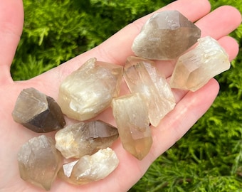Smoky Quartz Crystal - Ethically sourced from Zimbabwe - 1" - 2" Inch Raw Points