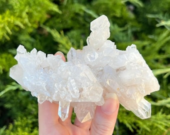 Peut inclure: Un amas de cristaux de quartz clair, tenu dans une main, sur un fond de feuillage vert. Les cristaux translucides ont des terminaisons pointues et nettes, mettant en valeur leur forme brute naturelle. La formation de quartz est de couleur claire et neutre.