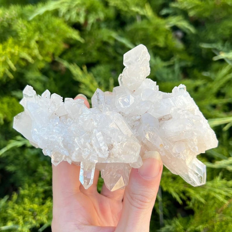 May include: A cluster of clear quartz crystals, held in a hand, against a backdrop of green foliage. The crystals are translucent and have sharp, pointed terminations, showcasing their natural, raw form. The quartz formation is a light, neutral color.