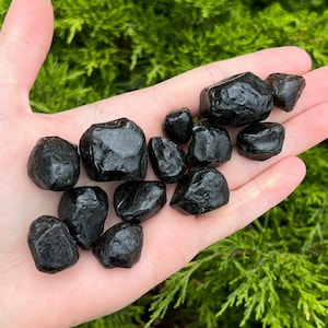 Apache Tear Raw Stone - Ethically sourced from Arizona, USA - AA Grade 0.5&quot; - 1.25&quot; in.