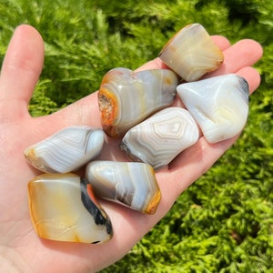 Dendritic Agate Tumbled Stone - Ethically sourced from Madagascar - AA Grade 1&quot; - 1.5&quot; in.