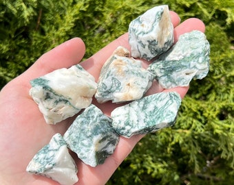 Tree Agate - Ethically sourced from Botswana - 1" - 2" Inch Raw Stones