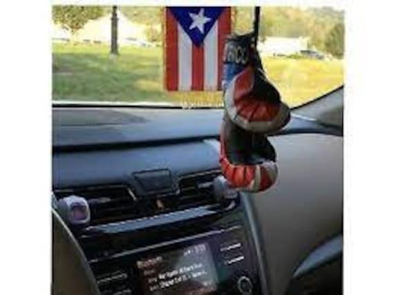 Italian Accessories Mini Boxing Gloves - Ground Game Infant Boxing