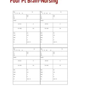 4 patient nursing report sheet