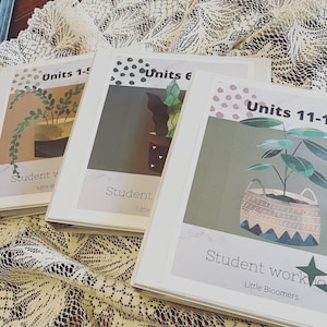 Preschool curriculum