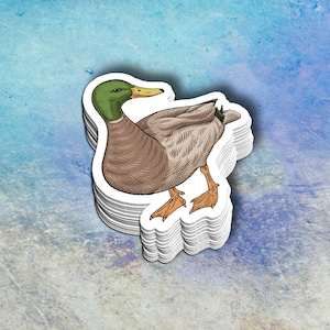 Mallard Sticker | Dabbling Duck Decal | Waterfowl Art | Laptop Decal | Gift for Bird Lovers | Wildlife Art Sticker