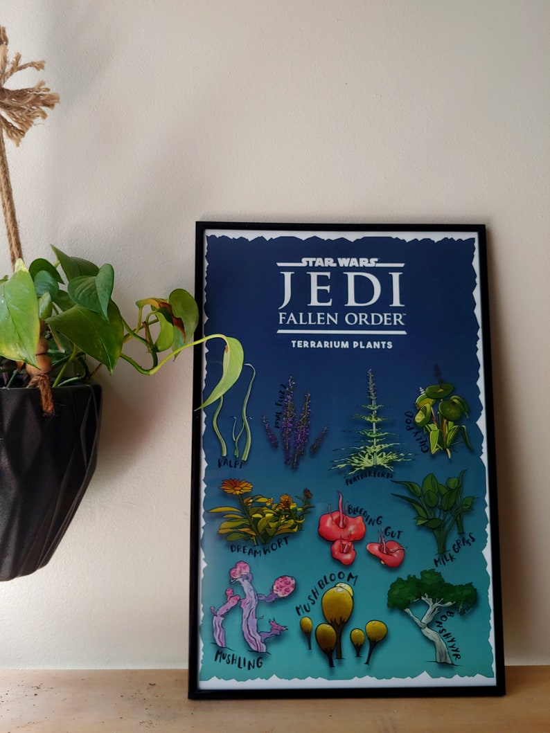 Video Game Chart Poster Jedi Fallen Order Terrarium Plants Etsy