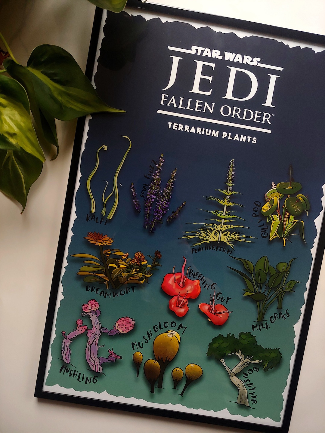 Video Game Chart Poster Jedi Fallen Order Terrarium Plants Star Wars