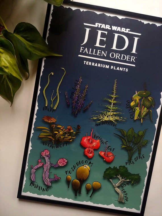 Video Game Chart Poster Jedi Fallen Order Terrarium Plants Etsy
