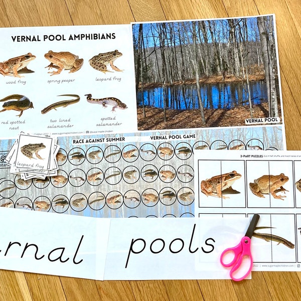 Vernal Pool Amphibian Games -- Montessori inspired, preschool and elementary  digital download