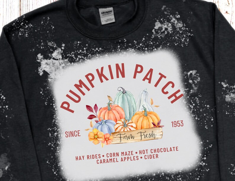 May include: Black sweatshirt with a distressed white design. The graphic reads "Pumpkin Patch" with watercolor pumpkins and the text "Farm Fresh." Additional text includes "Hay Rides, Corn Maze, Hot Chocolate, Caramel Apples, Cider."