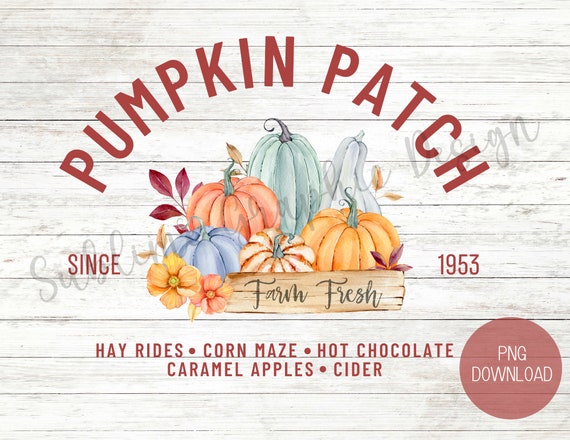 Pumpkin Patch PNG For Sublimation | Fall PNG Sublimation File | Pumpkin PNG | Pumpkin Patch With Pumpkins Png | Fall Pumpkin Shirt Png