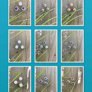 May include: Nine small round white containers with different coloured stones inside. The containers are arranged in three rows of three on a wooden surface with green leaves.